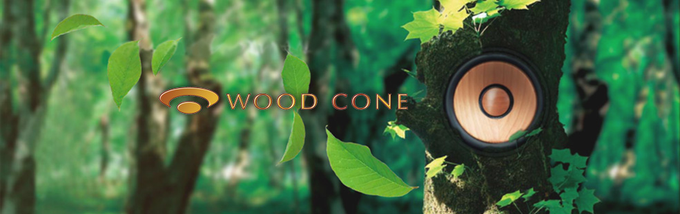 woodcone main visual