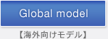 Global model