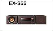 EX-S55